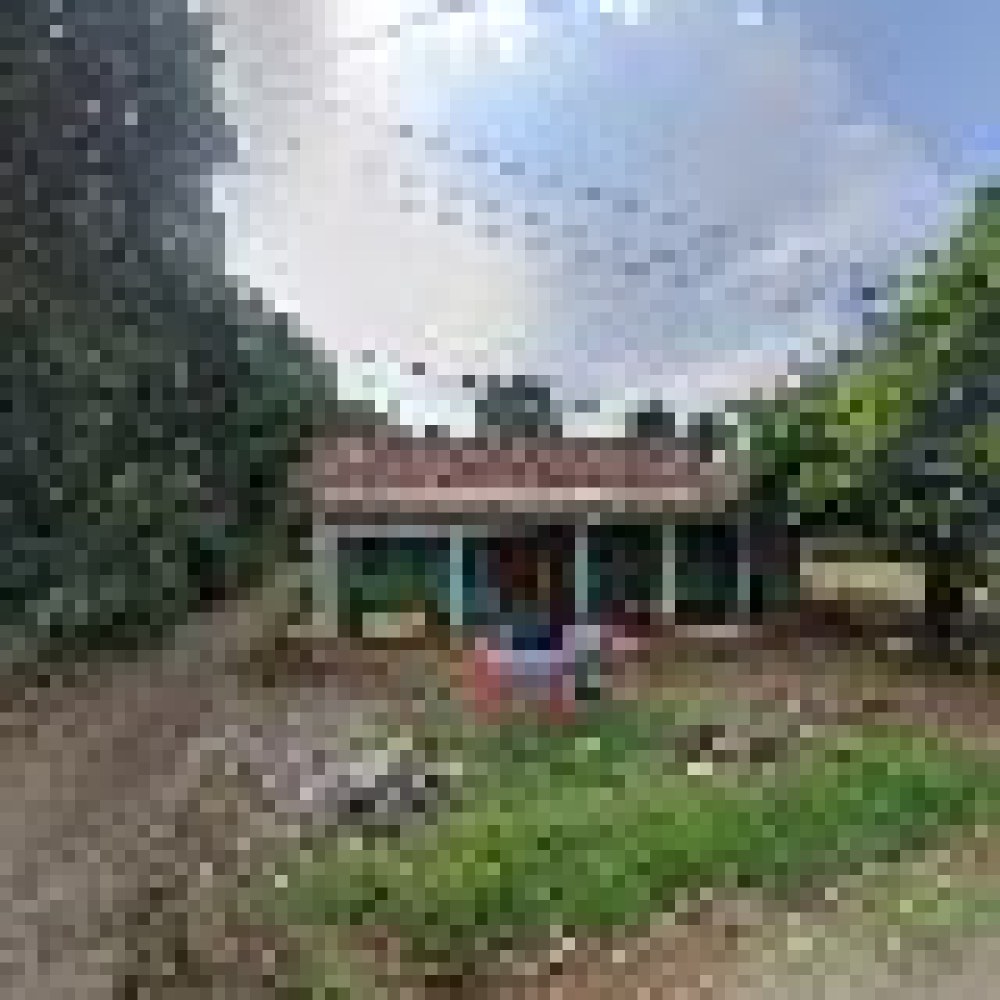 Reza Home Stay