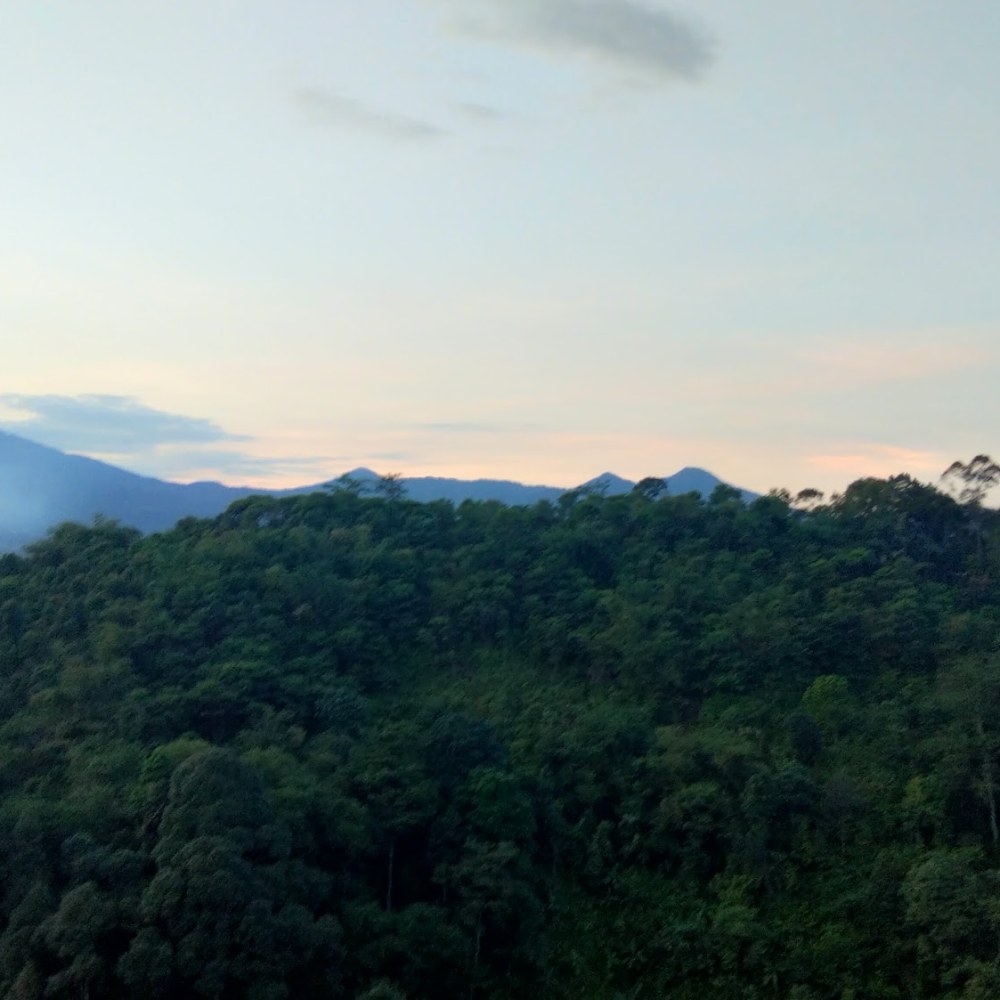 Edukasi Wisata PeWE