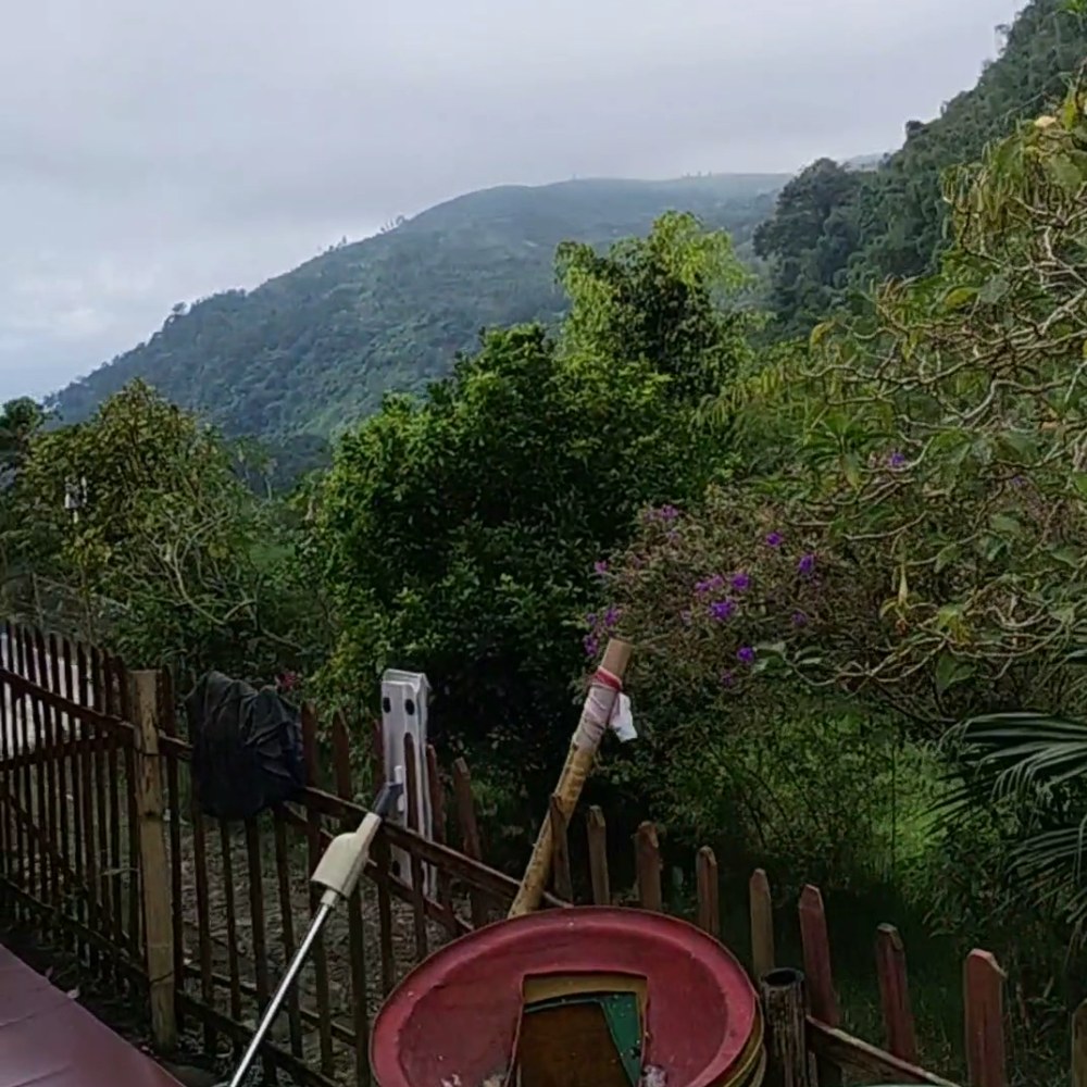 Shen Nung San Ku Bio - Puncak 2 Sukamakmur