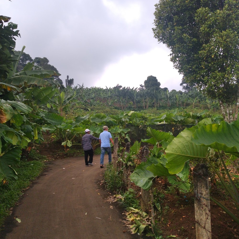 GAPOKTAN TANI MAJU
