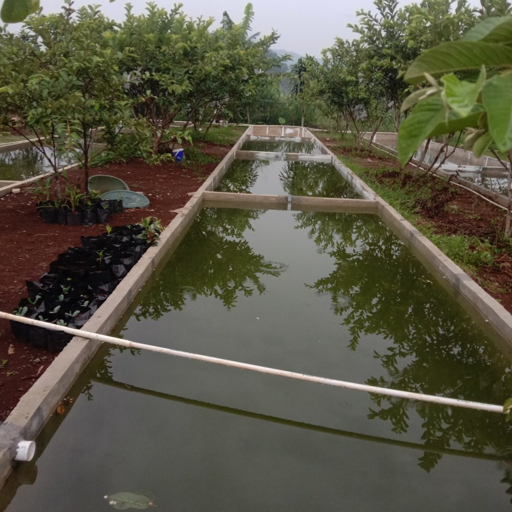 Wisata cahaya tani
