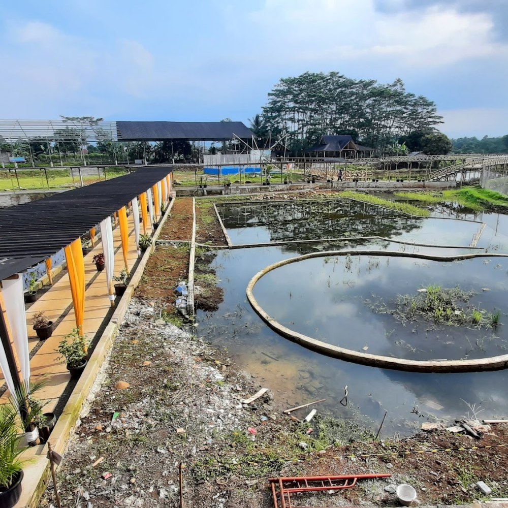 BTS (Bubulak Tepi Sawah)
