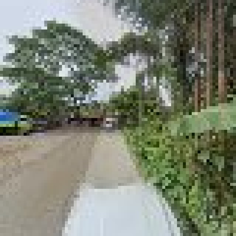 Pasir angin