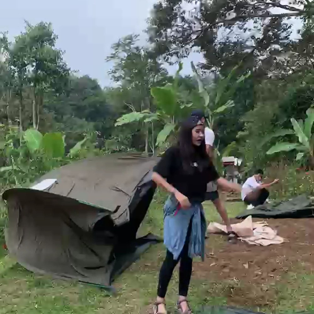 Beevana Farm