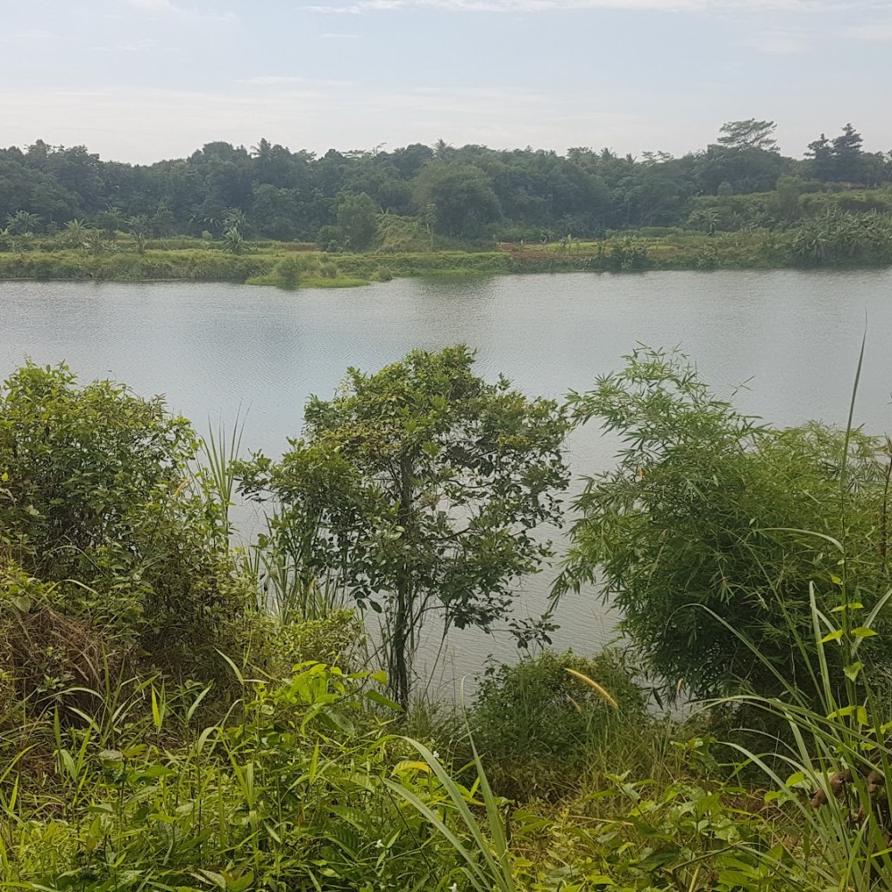 Danau Sarongge