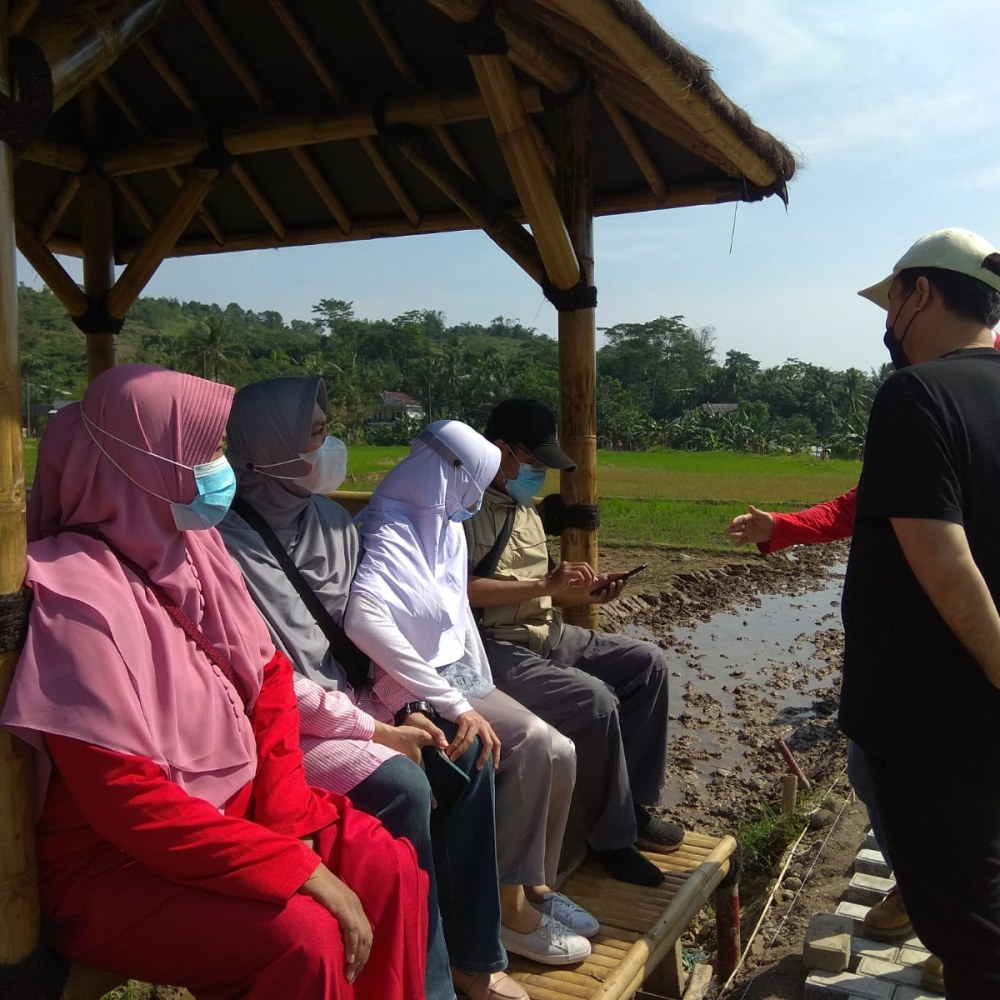 Kavling sawah konsep wisata keluarga