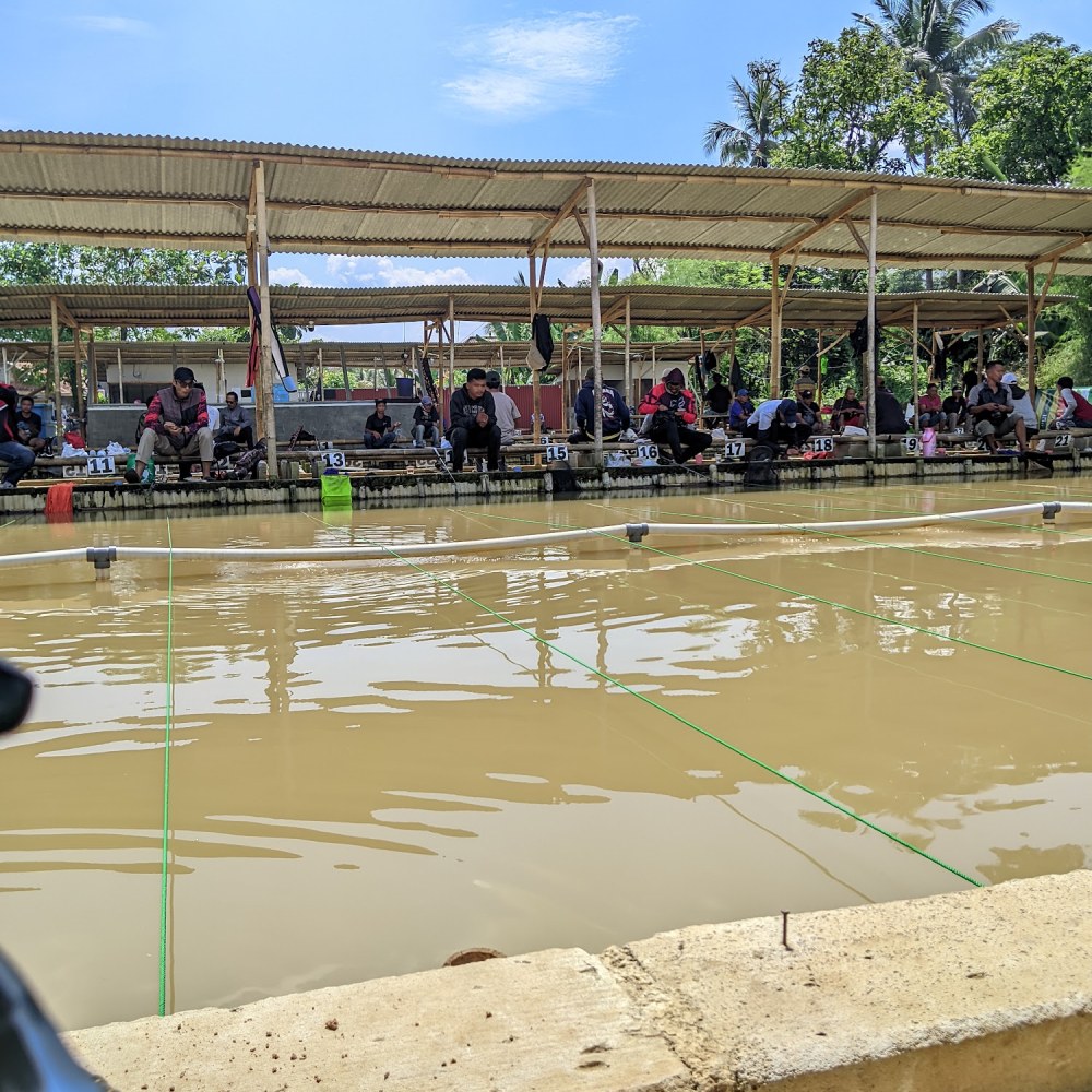 PEMANCINGAN COTIN