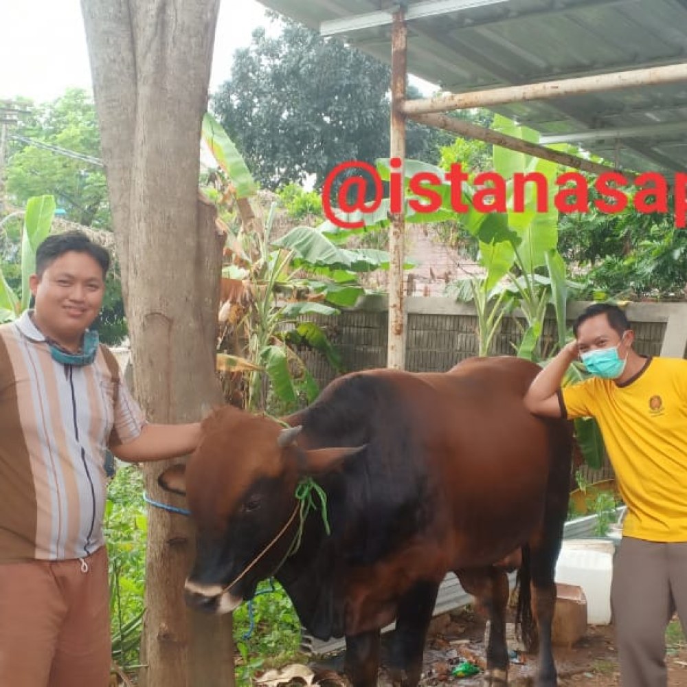 IstanaSapi.Cileungsi
