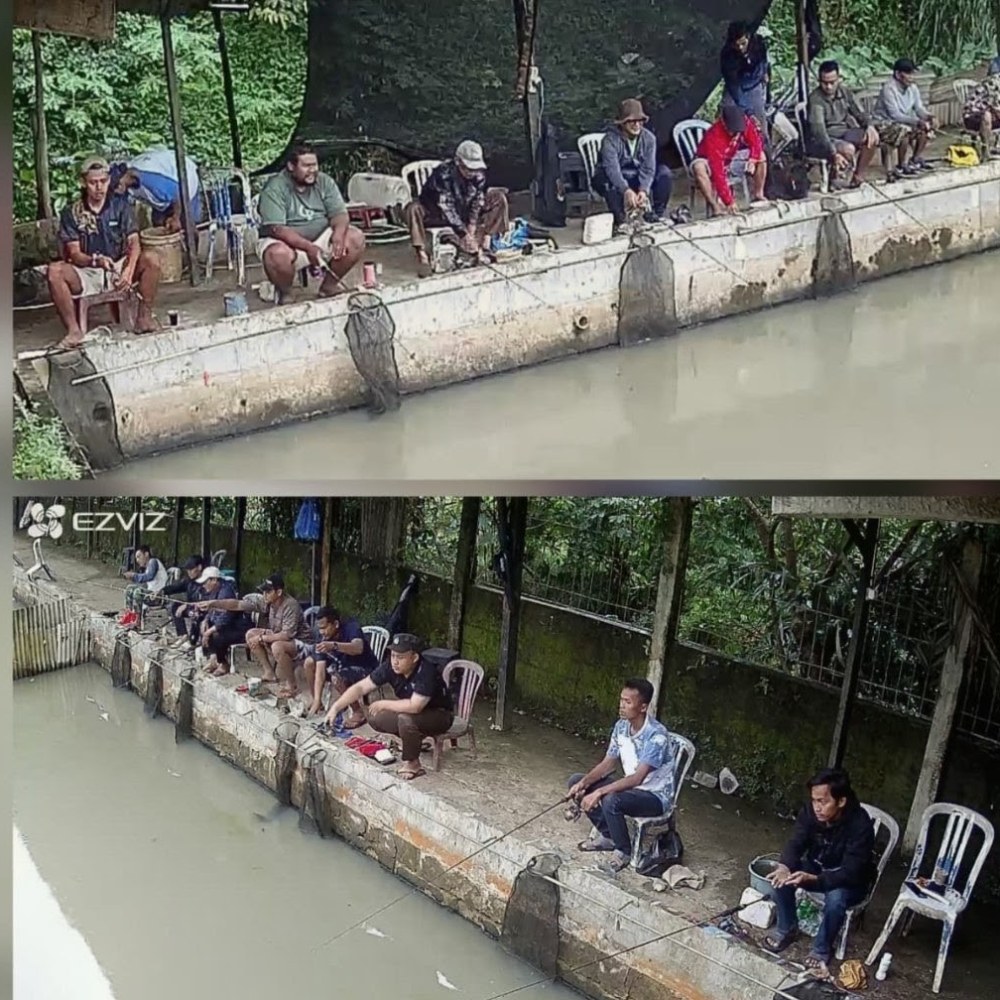 Pemancingan Lebak Mas Harian Lele Patin Bawal