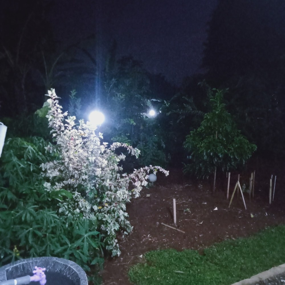 Taman Singkong Iwul