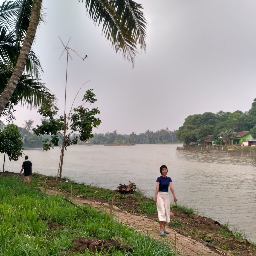 SITU COGREG