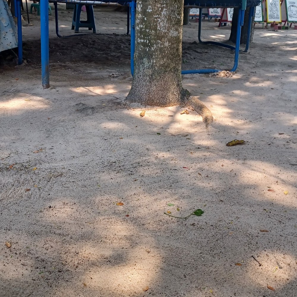 Taman Korea Wanagriya