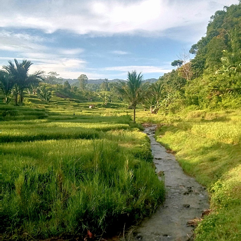 Desa wisata kiarasari