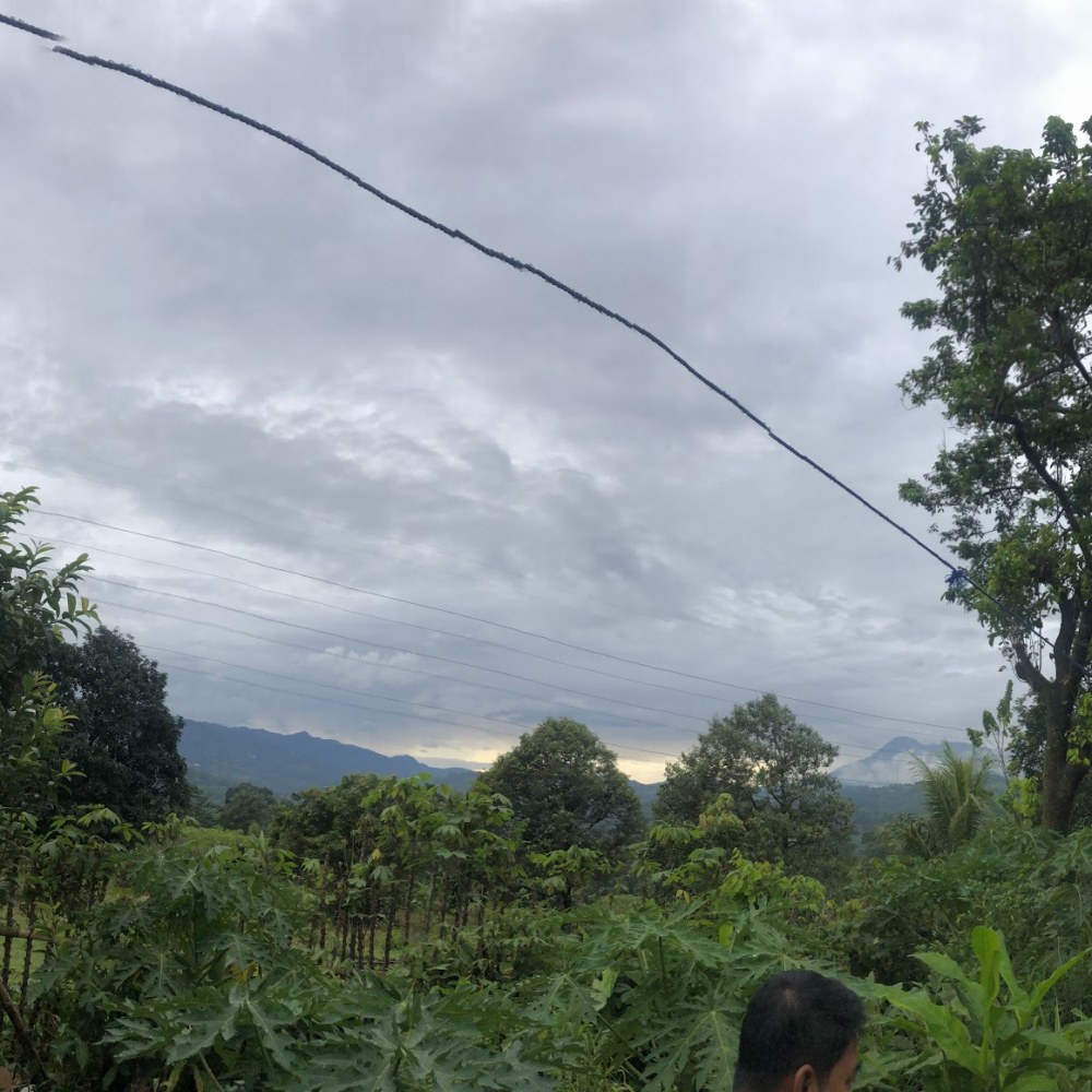 Teguh Mandiri Farm