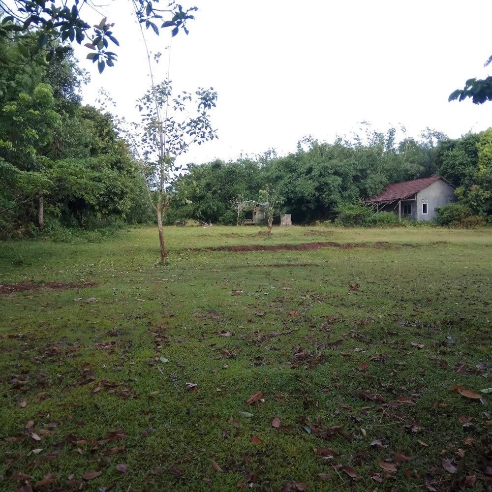 Bodhi Berarti Pengetahuan Kebaikan