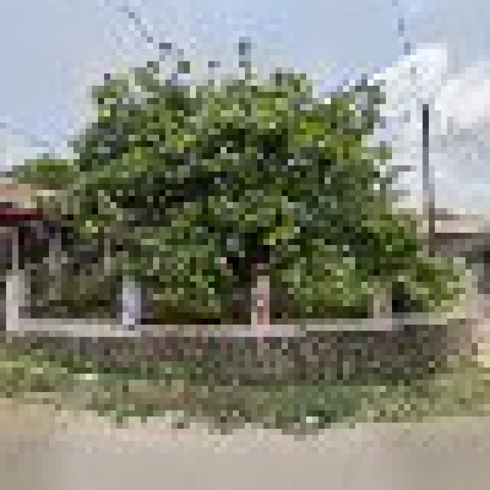 Mbah Jonggol