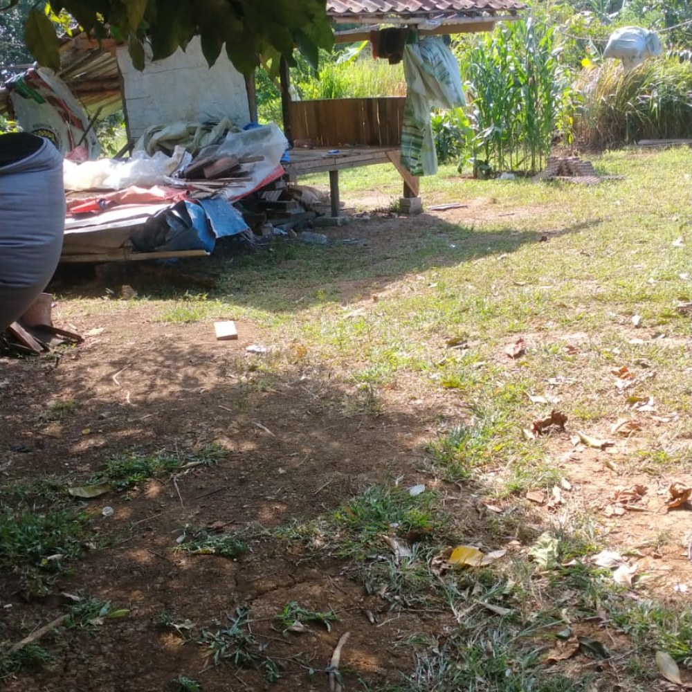 Saung