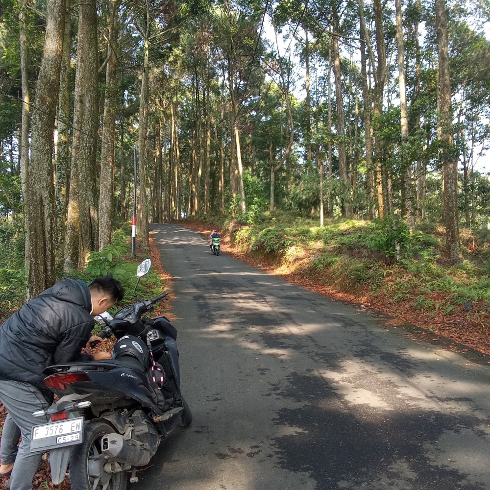 Pabangbon
