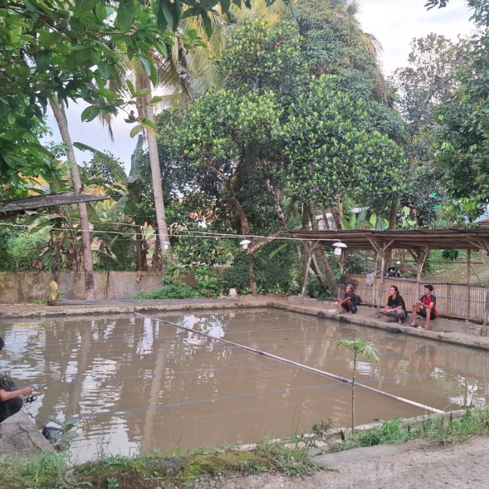 PEMANCINGAN PAK WAWAN