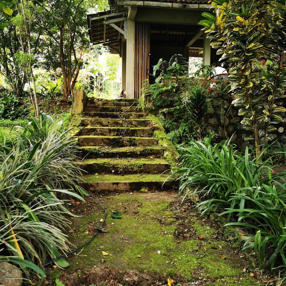 B garden