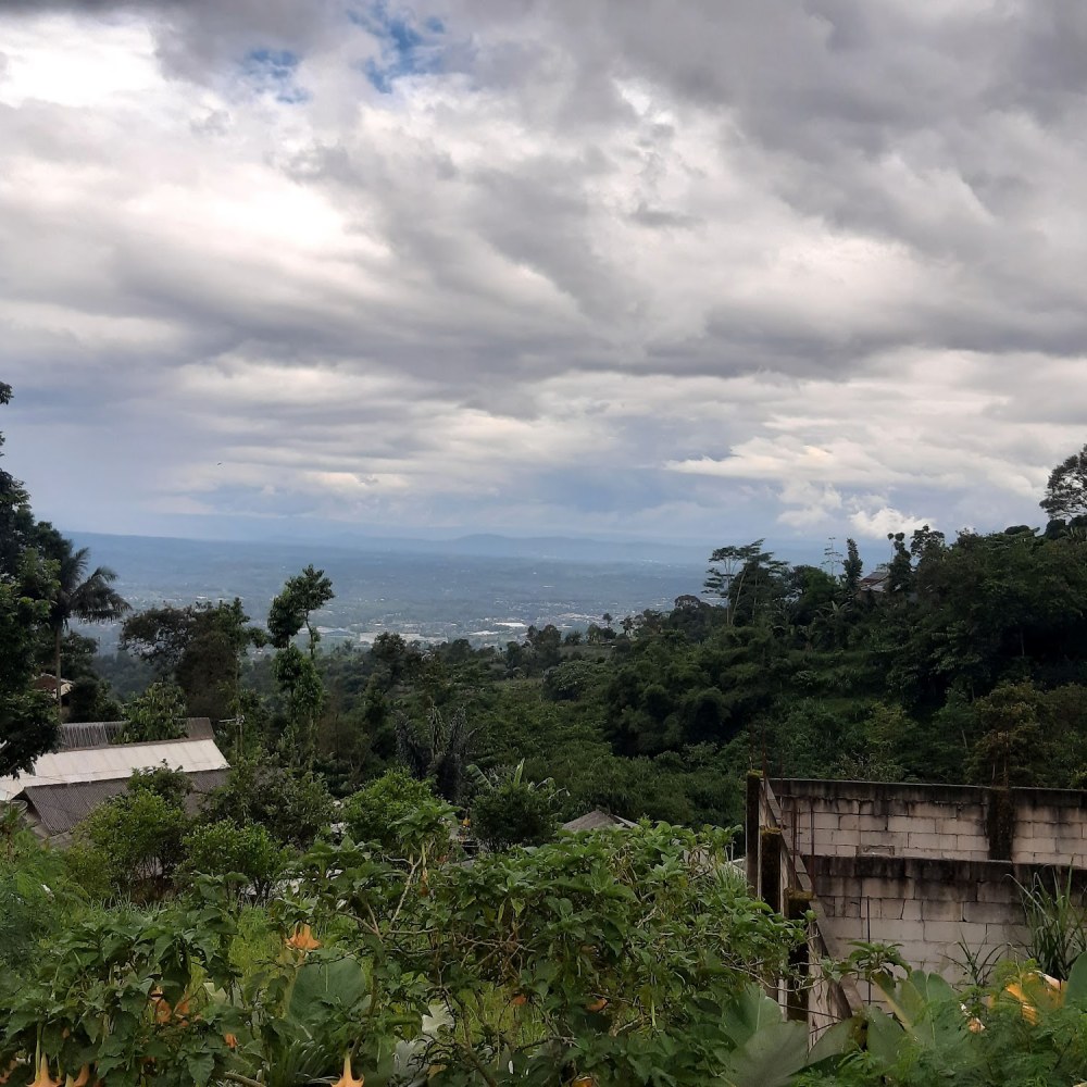 Negeri Diatas Awan Bogor