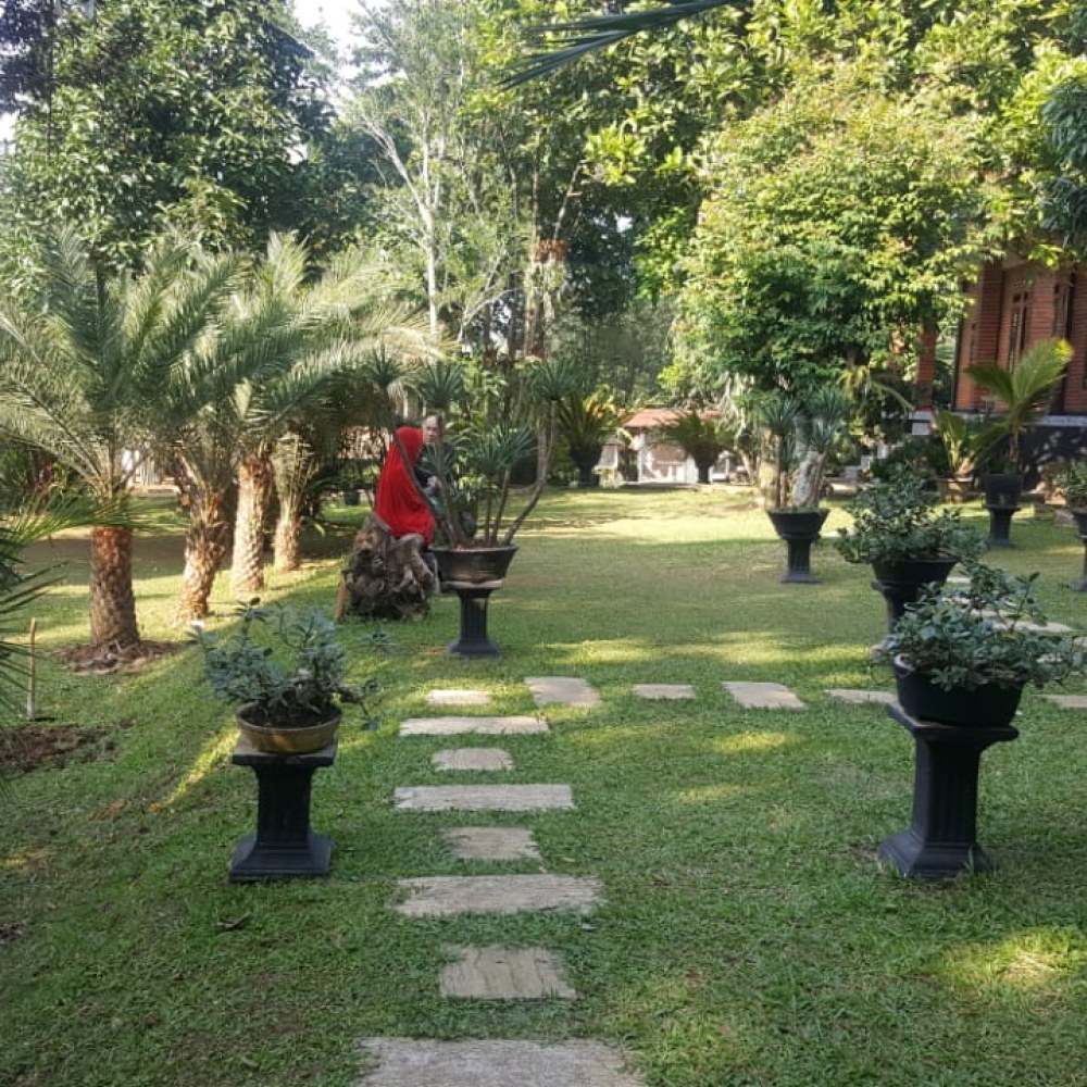 Saung Damar Djati