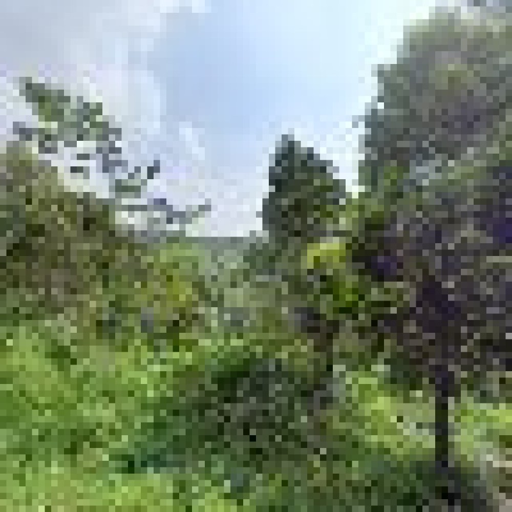 Taman Surga