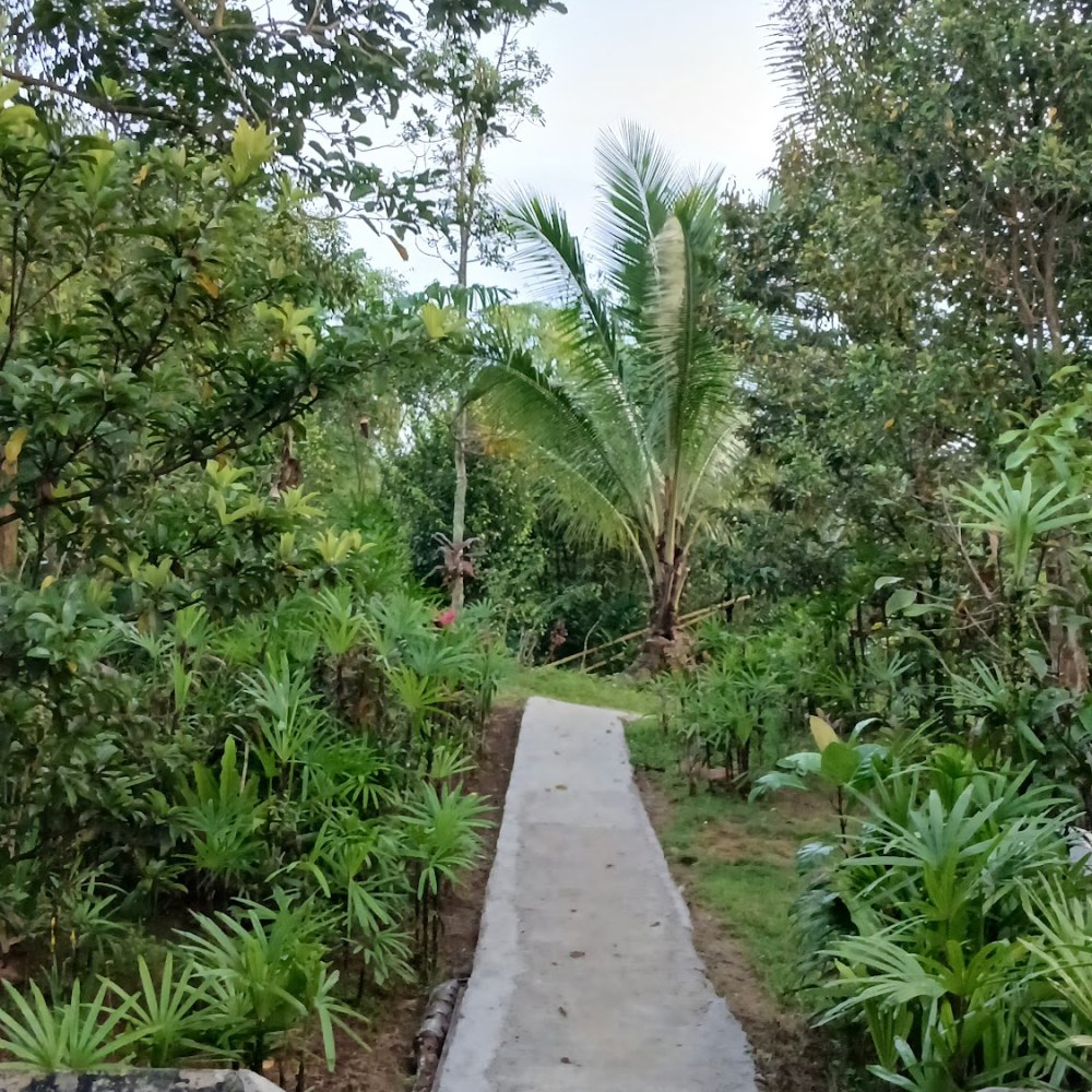 Rumah Nur Alifathul Hikmah