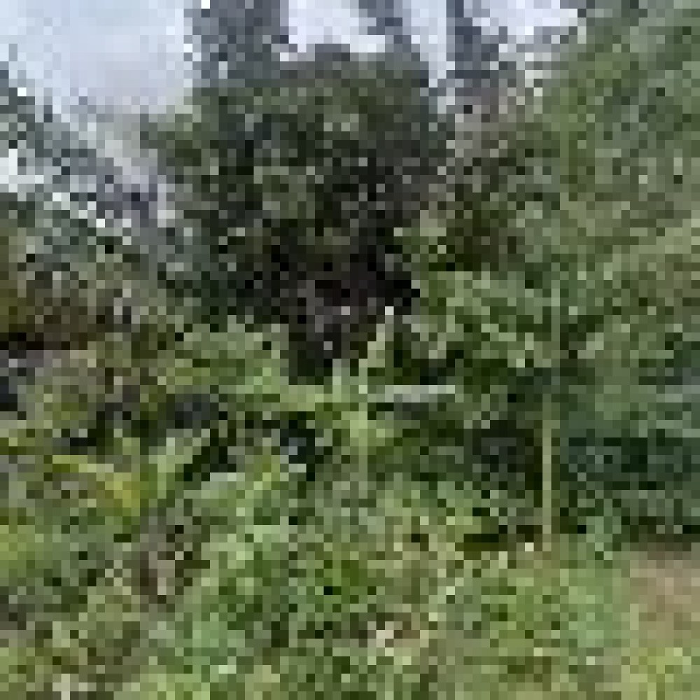 Perbukitan Rumpin-Cigudeg