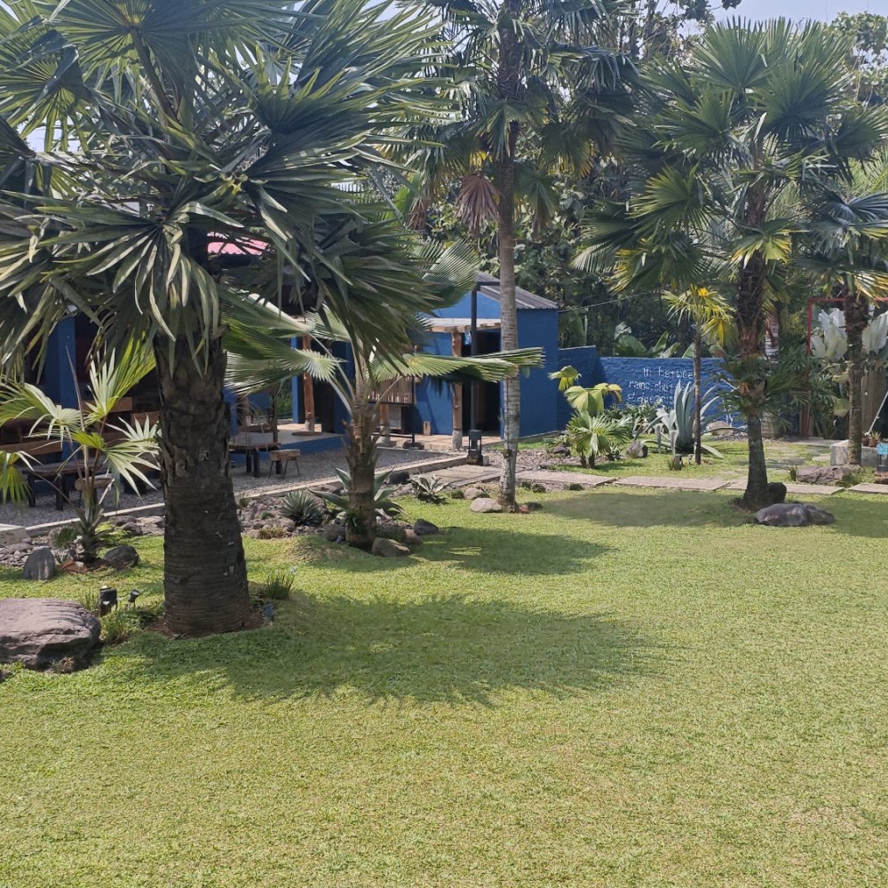 Bumi Rineh