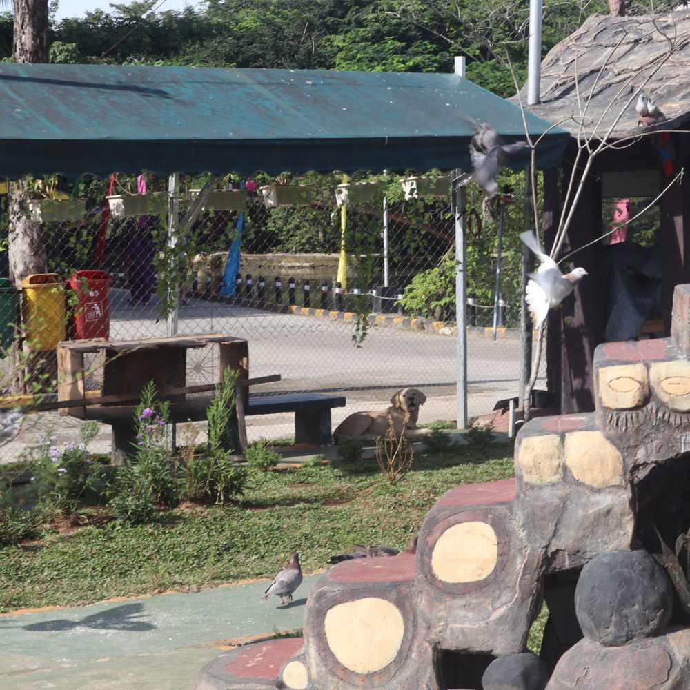 Taman Kelinci Wanagriya