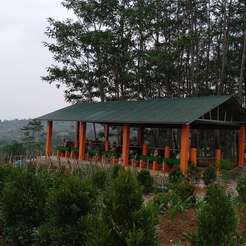 Saung Berkarya
