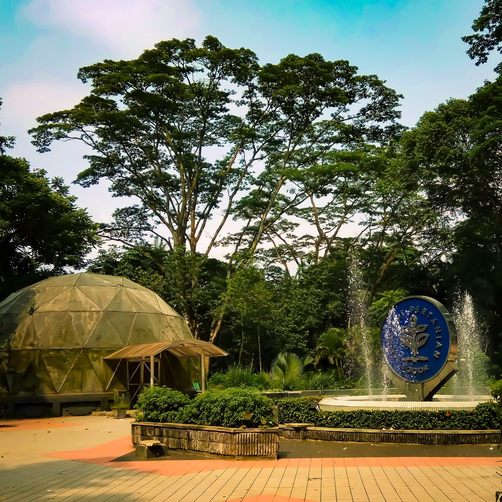 Koin IPB