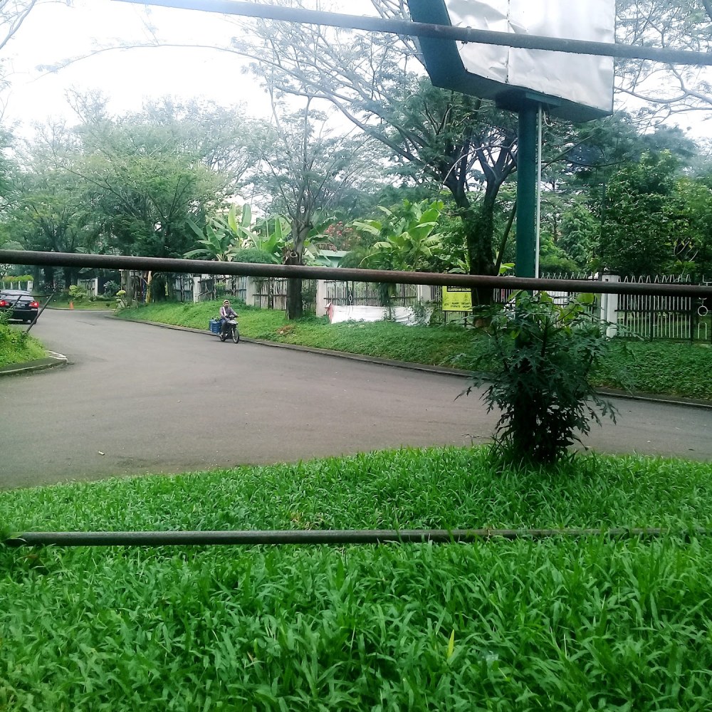 Einstein Park
