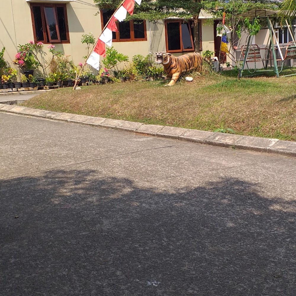 Taman Bermain Tiger Young