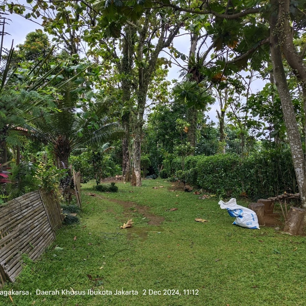 Joglo Kebon Jati