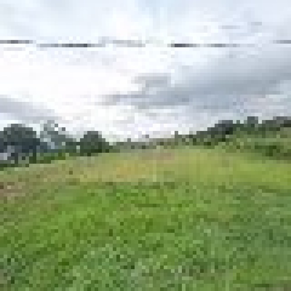 Kebun Opung