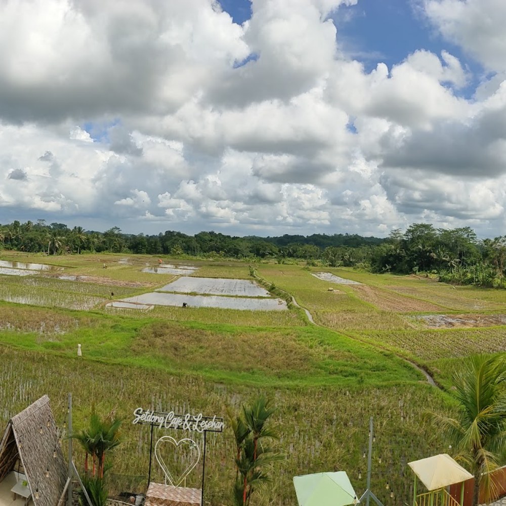 Telaga Setu Kedondong