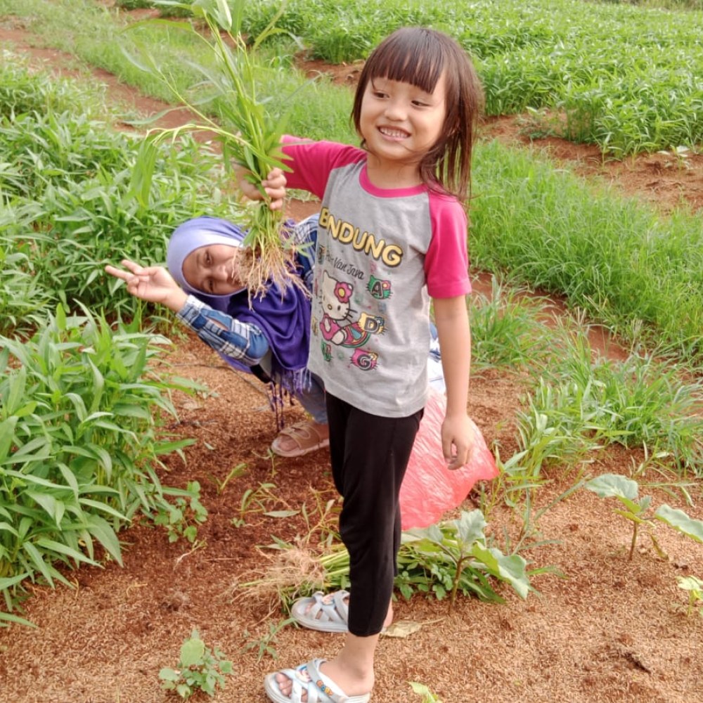 Parung KM22