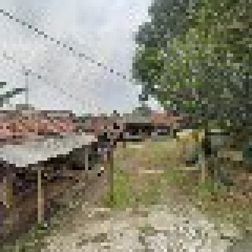 Kampung Parung Panjang Lebak