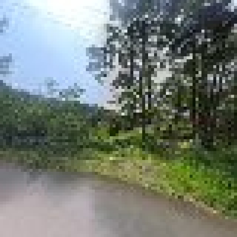 Kebon pertanian