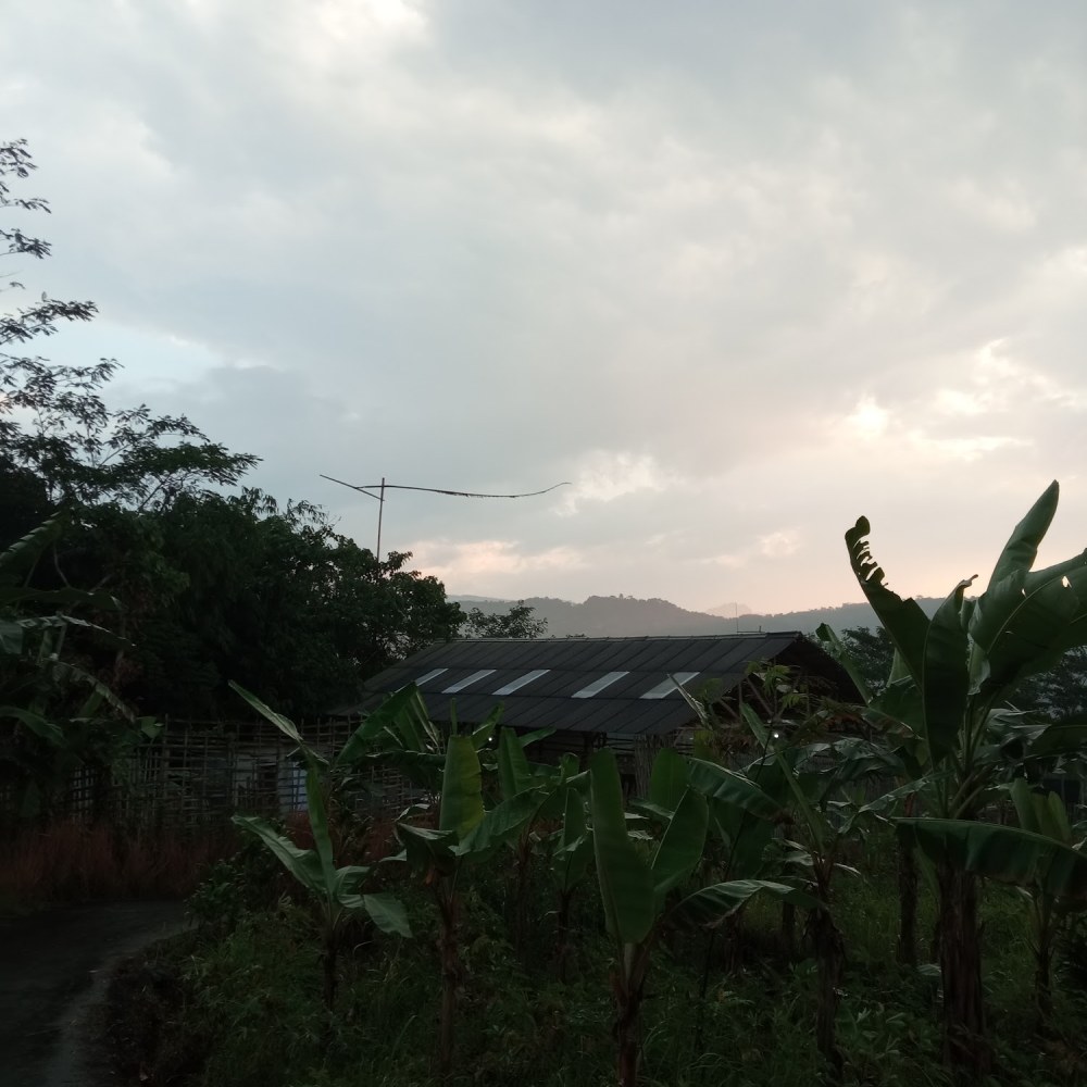 Bunaki Farm