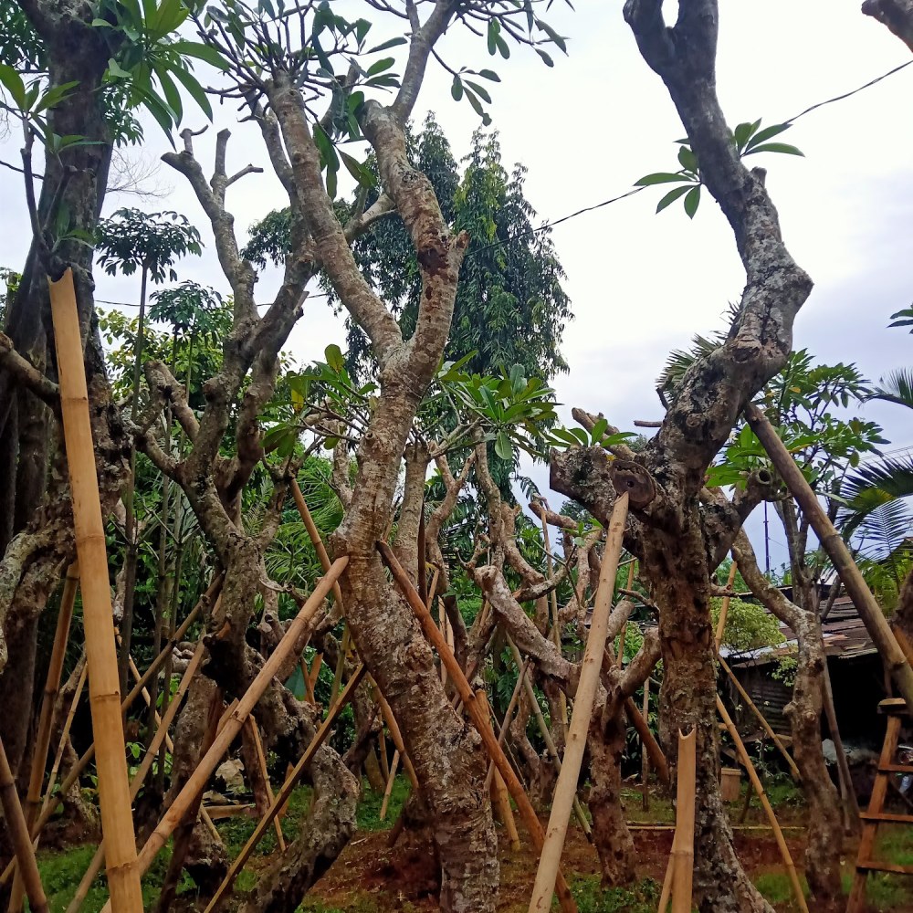 Taman berkarya