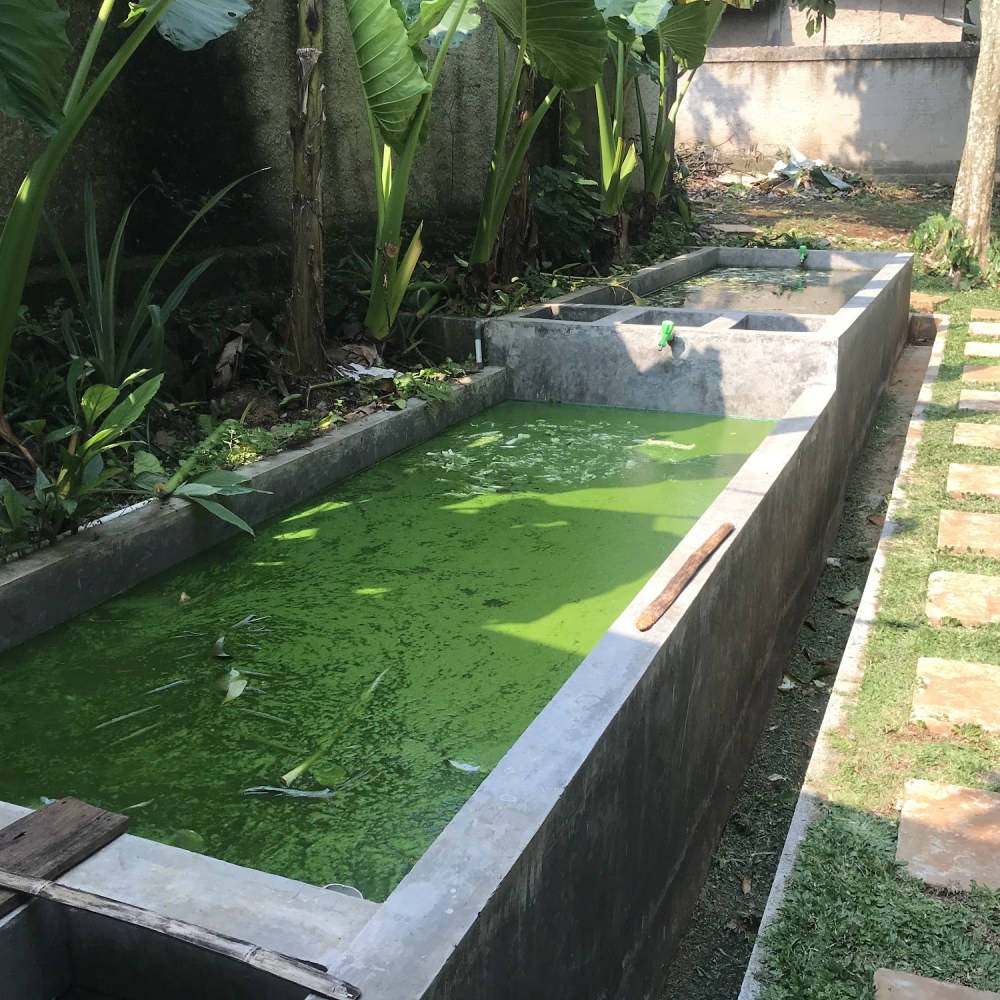 Kebon Adem Farm