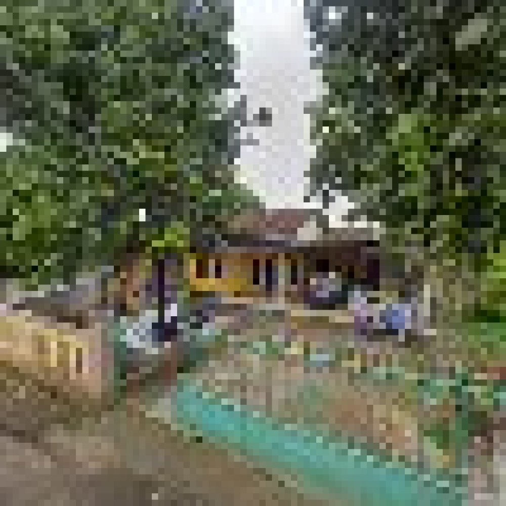 Kebun Amah Atta