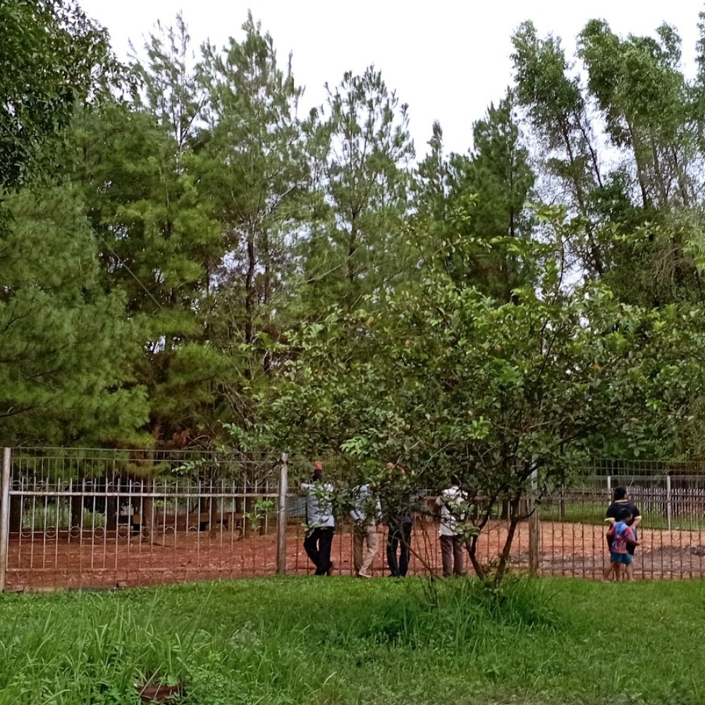Taman Rusa