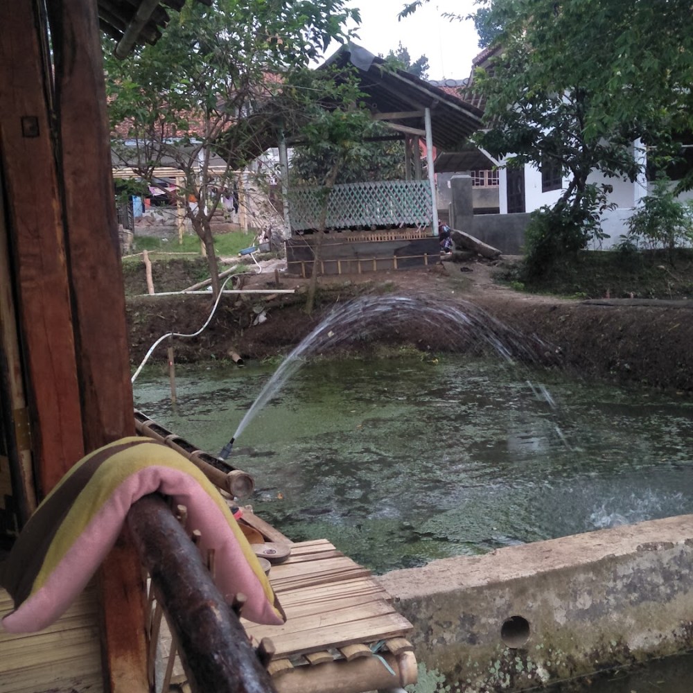 Saung Daarulfaroh