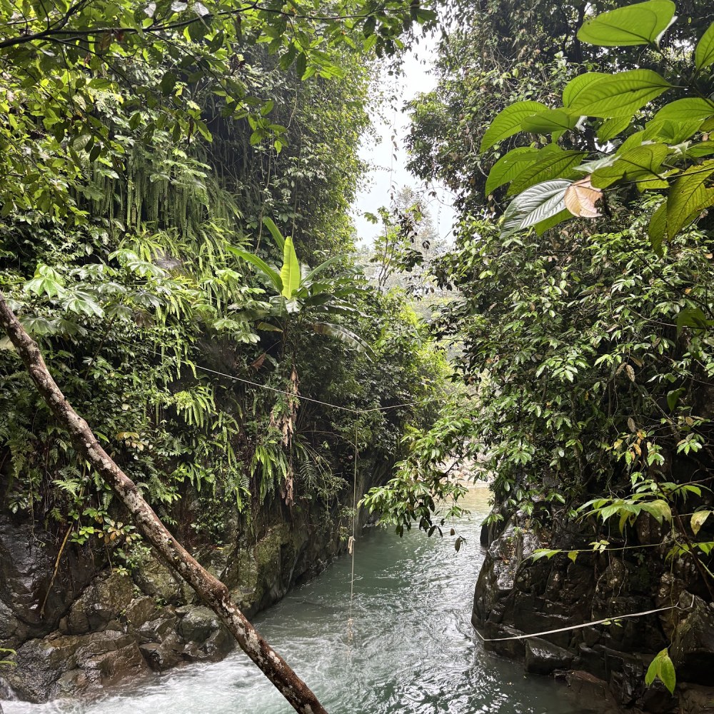 Jernih Air Sungai JONGGOL (Hulu Cileungsi)