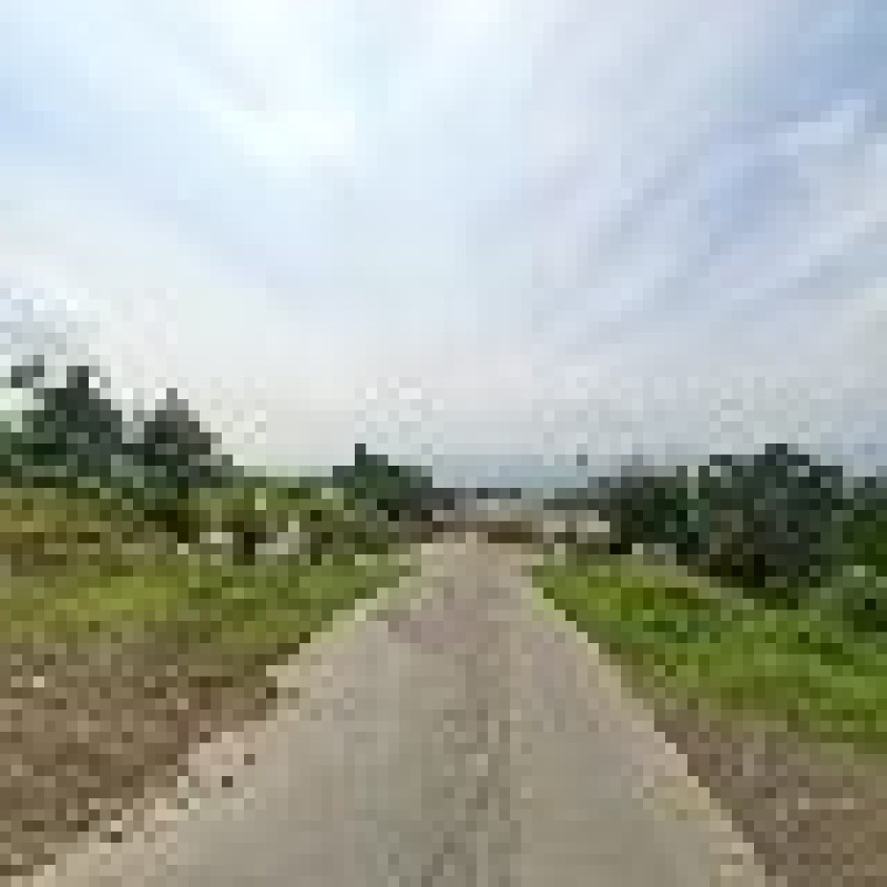 Leuweung Datar Sukamakmur