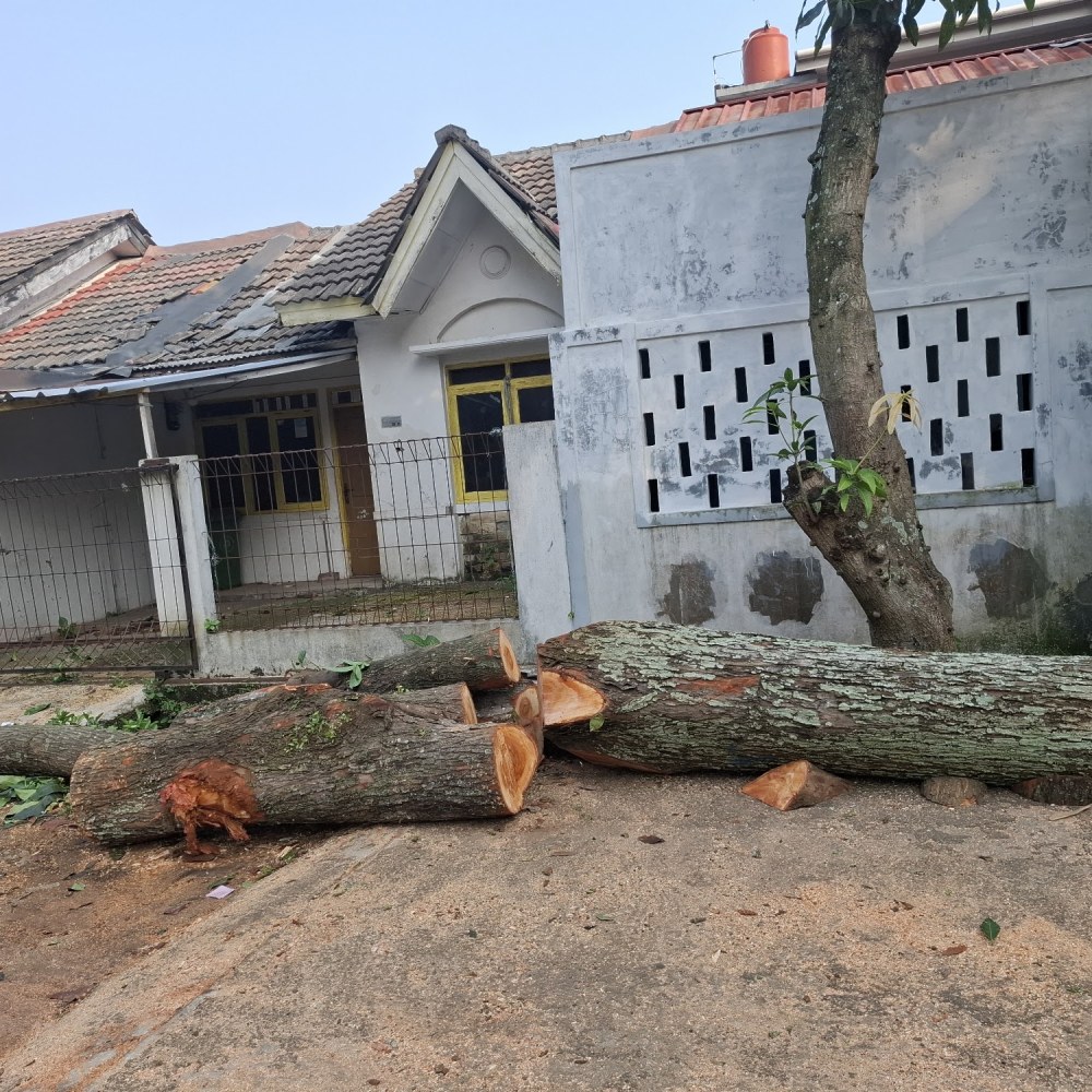 Taman Segitiga Mahoni